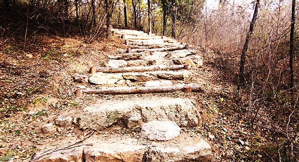 以愛(ài)之名，貼地疾行