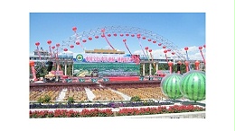 寧夏中衛市枸杞硒砂瓜節音視頻系統由ZOBO卓邦打造