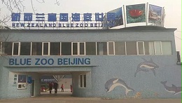 案例 ▎ZOBO卓邦為富國海底世界打造音視頻系統
