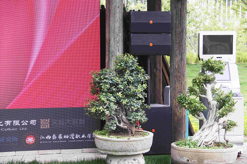 2019北京世界園藝博覽會石尚家園擴聲系統解決方案